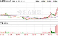 控制权拟变更！603980，“一”字涨停