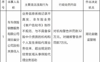 车车保险湖北省分公司被罚 业务信息系统记录不真实