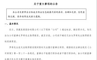 ST西发董事长失联，股价一字跌停