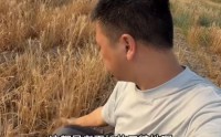山东菏泽曝大量农田遭污染，官方回应：已成立“专班”介入调查