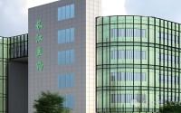 罕见！A股公司3任财务总监被各罚200万！