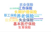 2026政府工作报告13次提及10个保险，大增！首提这两个，有这些新变化……