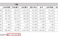 这个赛道，看到了希望