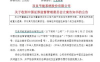 刚刚，双良节能遭证监会立案！此前因一篇公众号文章收警示函