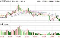 佳讯飞鸿：2026年管理层将持续以提升公司长期内在价值为核心目标，聚焦轨道交通等核心业务