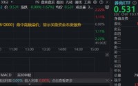 华宝基金券商ETF（512000）买盘强势！政府工作报告释放积极信号，券商多业务受益