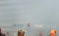 世贸组织全球贸易展望：中东冲突进一步加剧贸易前景放缓 农业将受影响