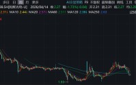 和辉光电，申请港股IPO前夕，遭国资基金低价减持，什么情况？