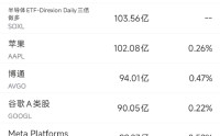 4月25日美股成交额前20：英伟达市值再次站上5万亿美元