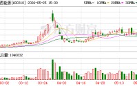 广西能源：公司无对外担保逾期情况