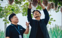 政策加码部署支持县域经济，分期乐普惠为超400万县域小微注入“金融活水”