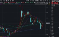 一阳穿三线！华宝基金信创ETF基金（562030）逆市拉升1.6%！AI“养龙虾”爆火，OpenClaw概念活跃！