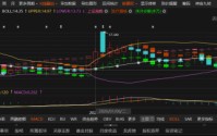 亚辉龙索赔窗口开启：2026年1月6日买入投资者可依法维权