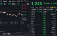回调日，这一方向批量新高！景气强支撑，日内巨振6.87%，华宝基金科创芯片ETF收低1.66%