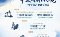 卡位周期全产业链脉络，中欧“四小龙”构建差异化布局
