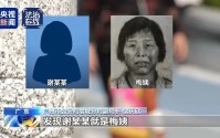 “梅姨”案细节公布