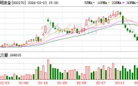 华明装备：截至2026年3月20日公司股东总户数为50447户