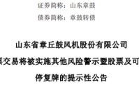 虚减利润被罚！002598，将被ST！
