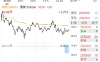 碳酸锂期货主力合约创上市新高，站稳20万元关口了么？