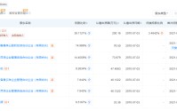灵泽科技要求团队转外包遭拒 《明末：渊虚之羽》开发组整体解散 制作人夏思源被开除