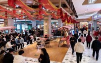 “定闹钟、拼手速、仍陪跑” ，春节期间消费券秒空刷屏