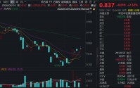 政策定调“适度超前”，国产芯片“破茧成蝶”！同类规模最大港股通信息技术ETF（159131）放量收涨2.32%