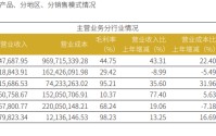 华安证券业绩“虎头蛇尾” Q4营收净利同比环比皆大降 IPO收入“脉冲式”上升背后股权储备项目为0