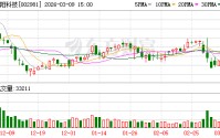 朝阳科技：2025年净利润73766887.37元