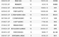 谁是“专业买手”心头好FOF最新配置思路曝光