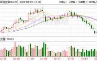 昊华科技：公司致力于打造新进化工材料解决方案提供商