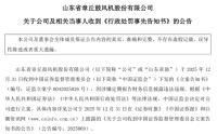 财务造假！002598将被ST