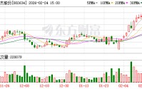 45家意向方报名：棒杰股份预重整投资人招募完成报名，正推进遴选