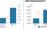 IPO雷达| 营收“虚胖”、依赖中石化，昌德科技闯关北交所遇考