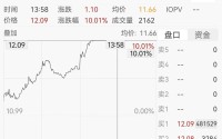 2000亿巨头封板涨停！A股铝概念大爆发，存储芯片集体下跌，10倍牛股闪崩跌停