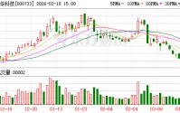 振华科技：公司建立了较为完善的管理层绩效考评体系和薪酬制度