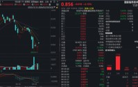 南向资金爆买！港股大反弹来了？华宝基金港股信息技术ETF（159131）强势冲高近3%，中芯国际涨逾2%
