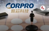 “美女富豪”从阶下囚到掌舵人，115亿振芯科技终归她手