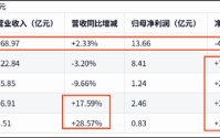苏泊尔CFO徐波掌舵一年成绩单:龙头疑掉队 左手减持右手低门槛激励？
