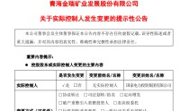 600714，实控人变更为国家电投！