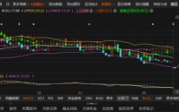 网达软件业绩“变脸”触退市红线：预告盈利685万突降至营收不足3亿，投资者可索赔