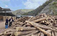 流水觅“知音”“数”说林业兴 稠州银行依托中小微企业资金流平台精准滴灌绿色产业