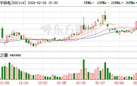罗平锌电：截至2026年2月13日公司股东人数为48583户