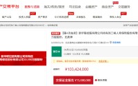 每股5毛！三峡人寿2亿股第四次拍卖，较首次起拍价打对折…