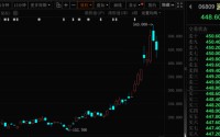 存储芯片龙头，资金爆买，已连续5周获加仓
