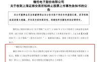 600355，难逃退市厄运
