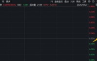 锂企抢先披露年报！“资源为王”逻辑不变！华宝基金有色ETF（159876）摸高0.86%，获资金实时净申购480万份