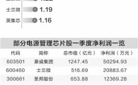 电源管理芯片迎涨价潮 二季度以来多只概念股获融资资金青睐