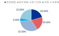 事关超2亿人，灵活就业人员参加职工保险支持政策将出台