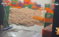 一文看懂 | 央视3·15七弹连发！直击漂白鸡爪、荐股骗局、AI投毒，蜀福香、哈啰租电动车等企业上榜
