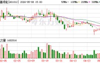 隆基绿能：公司未对控股股东和实际控制人及其关联人提供担保